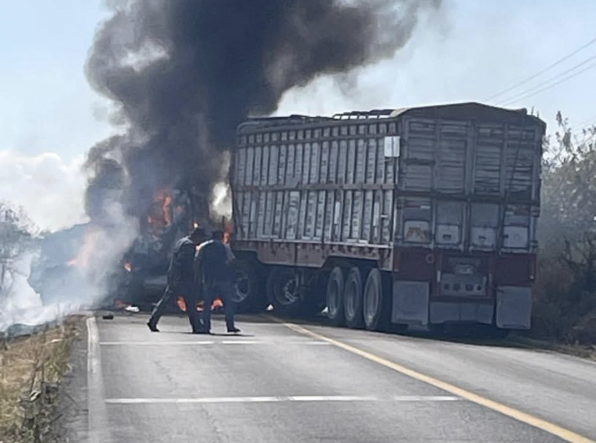 NarcoMorena No Está Manca